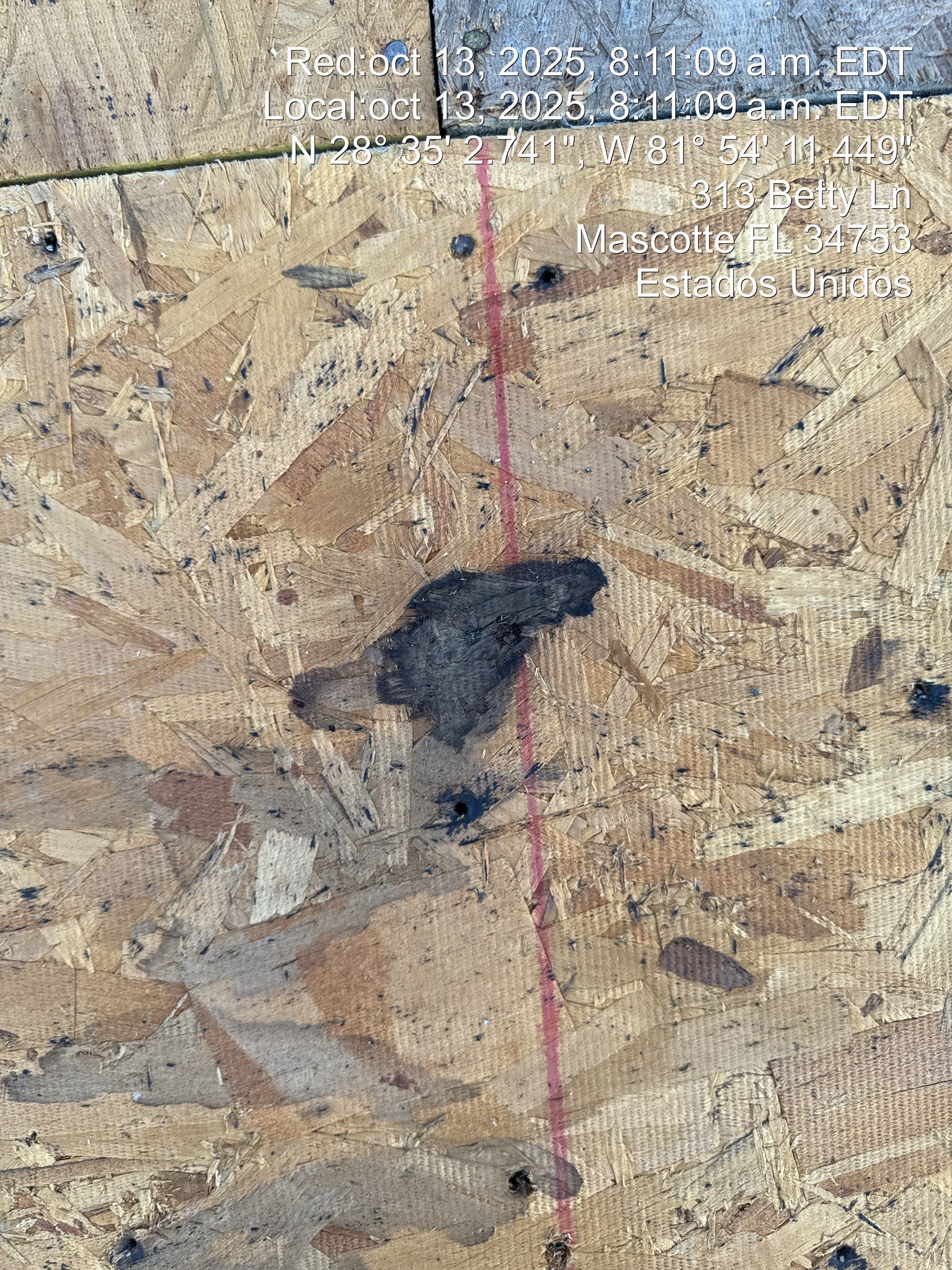 Project in Mascote by You Restorations LLC DBA YOU-Home