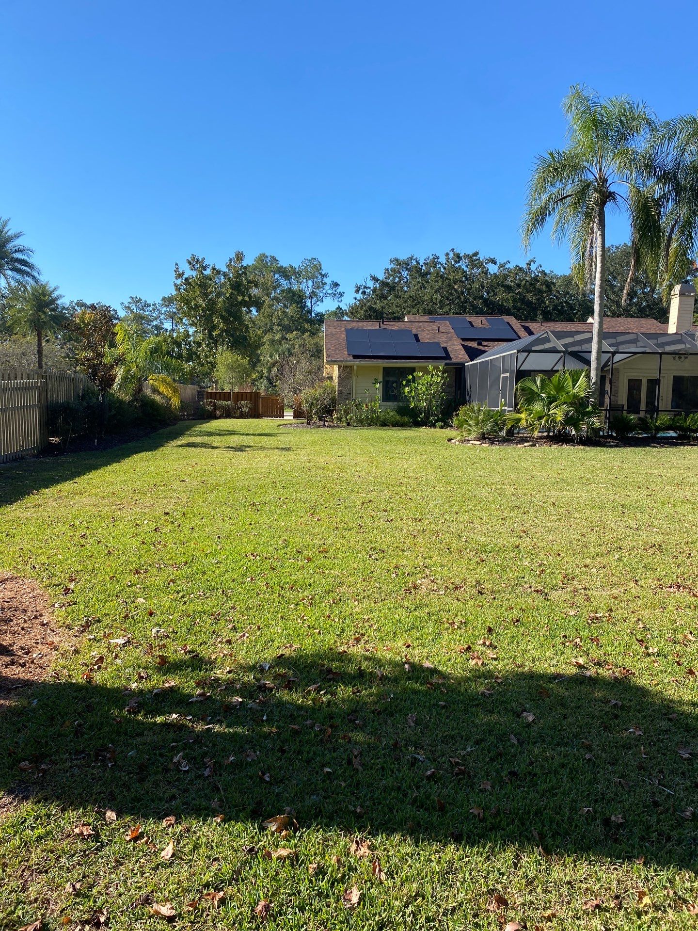 Deerwood Resident | Extreme Clean Up by ProGreen Services