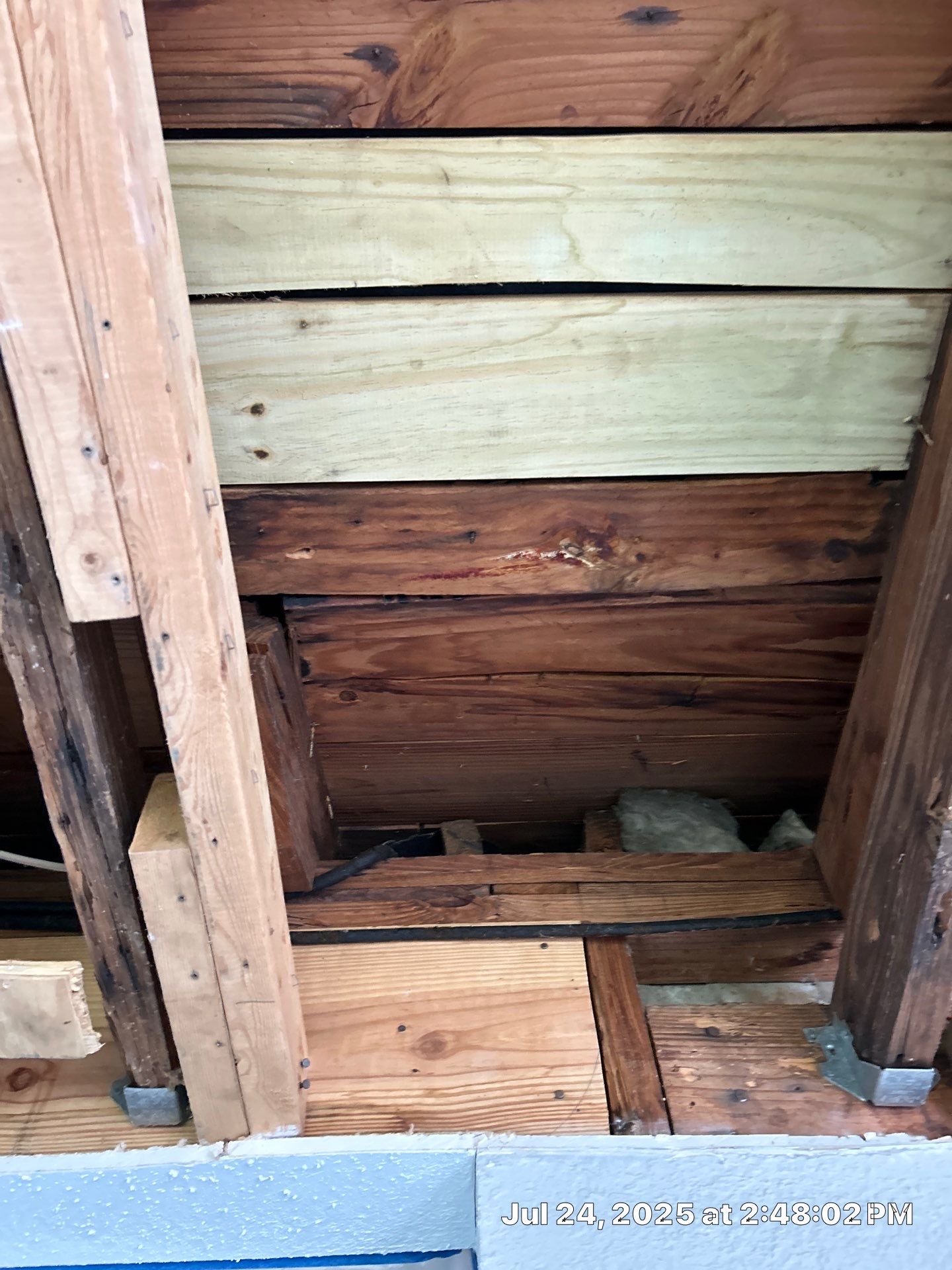 Mold Inspection & Mold Removal In St. Petersburg, FL by Ampm Restoration Services