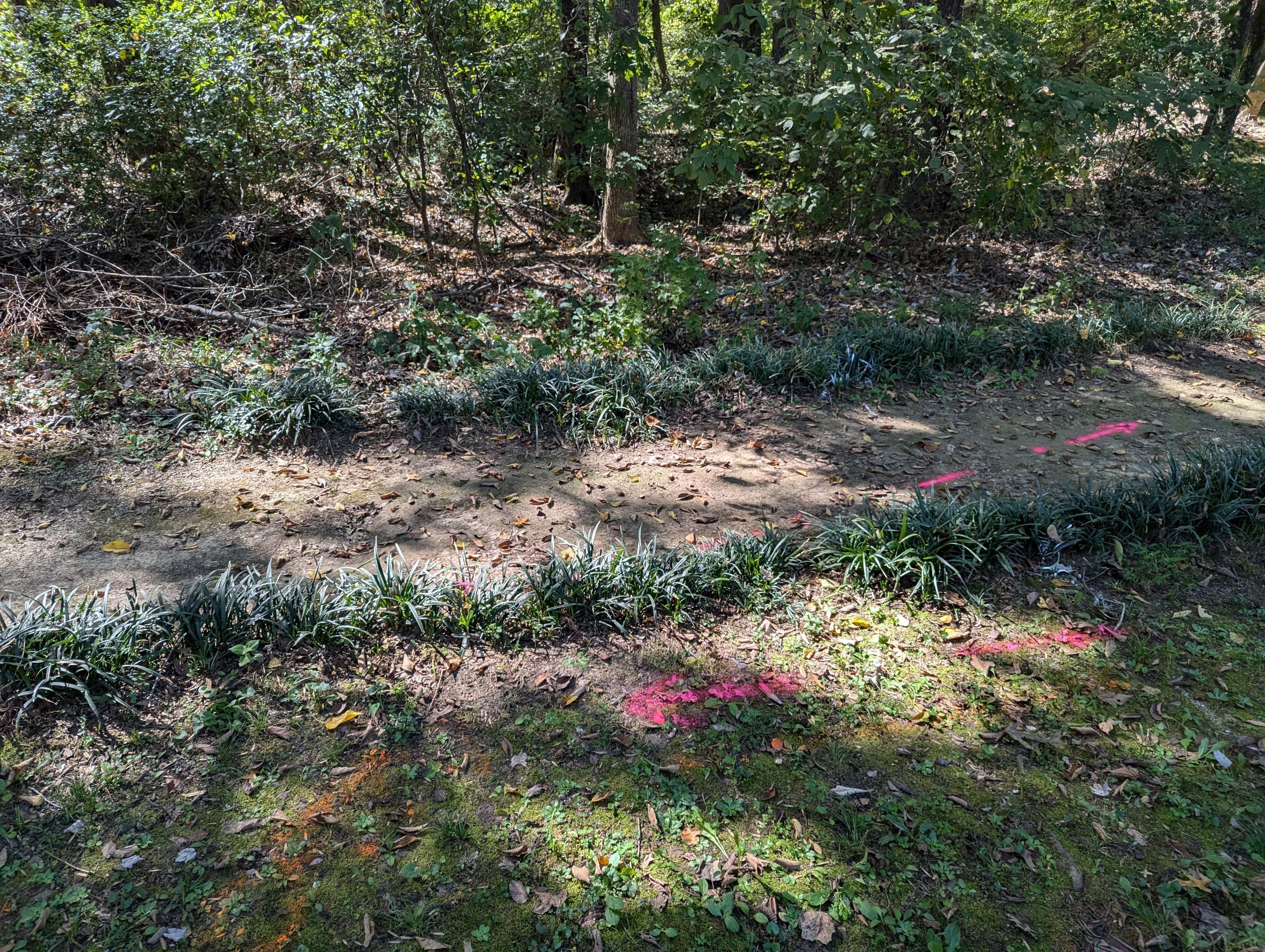 Utility Locating Services / GPR Request by Alsip Locating Service, LLC