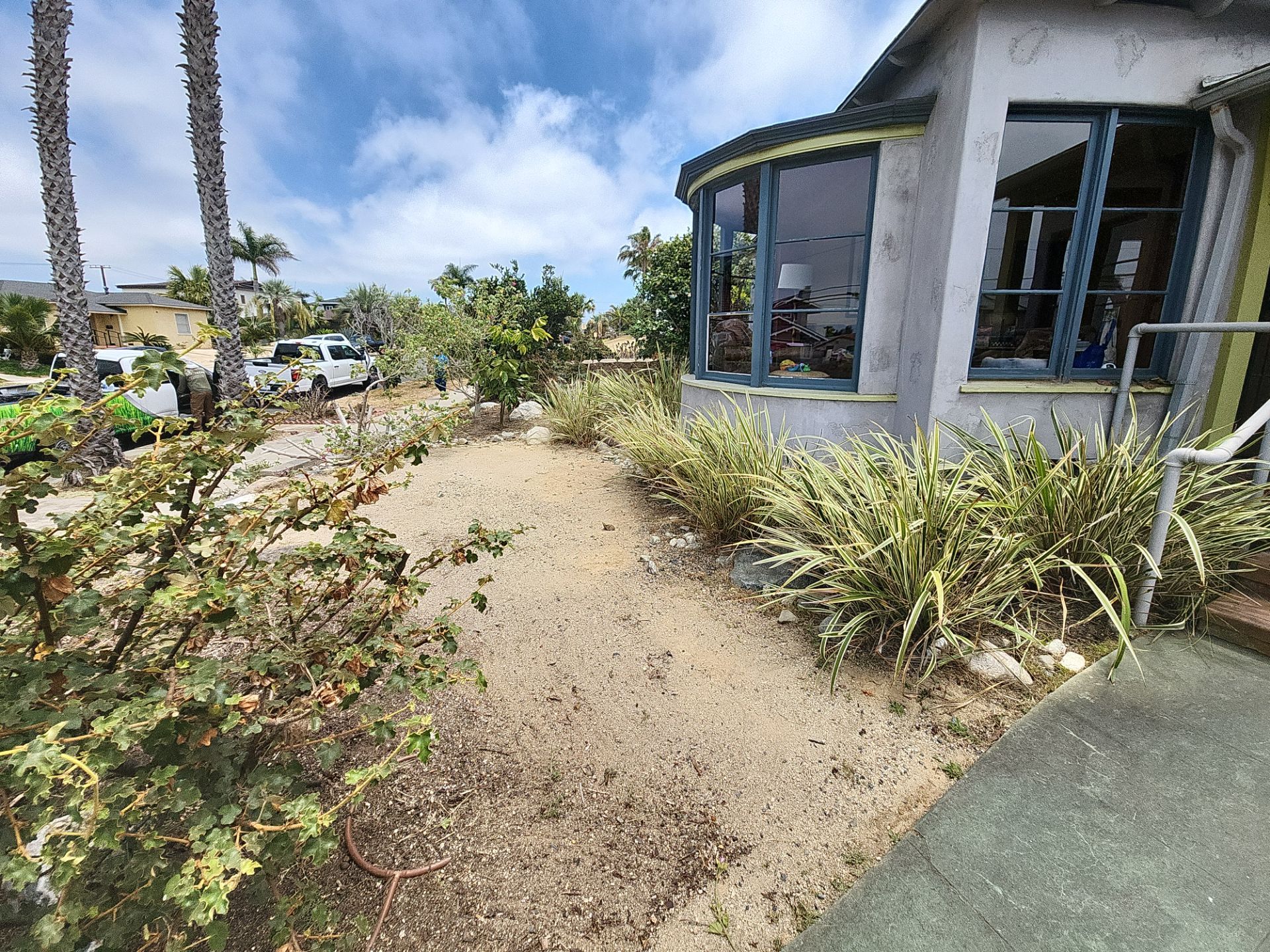 San Diego Landscape Clean Up by Yard Techs