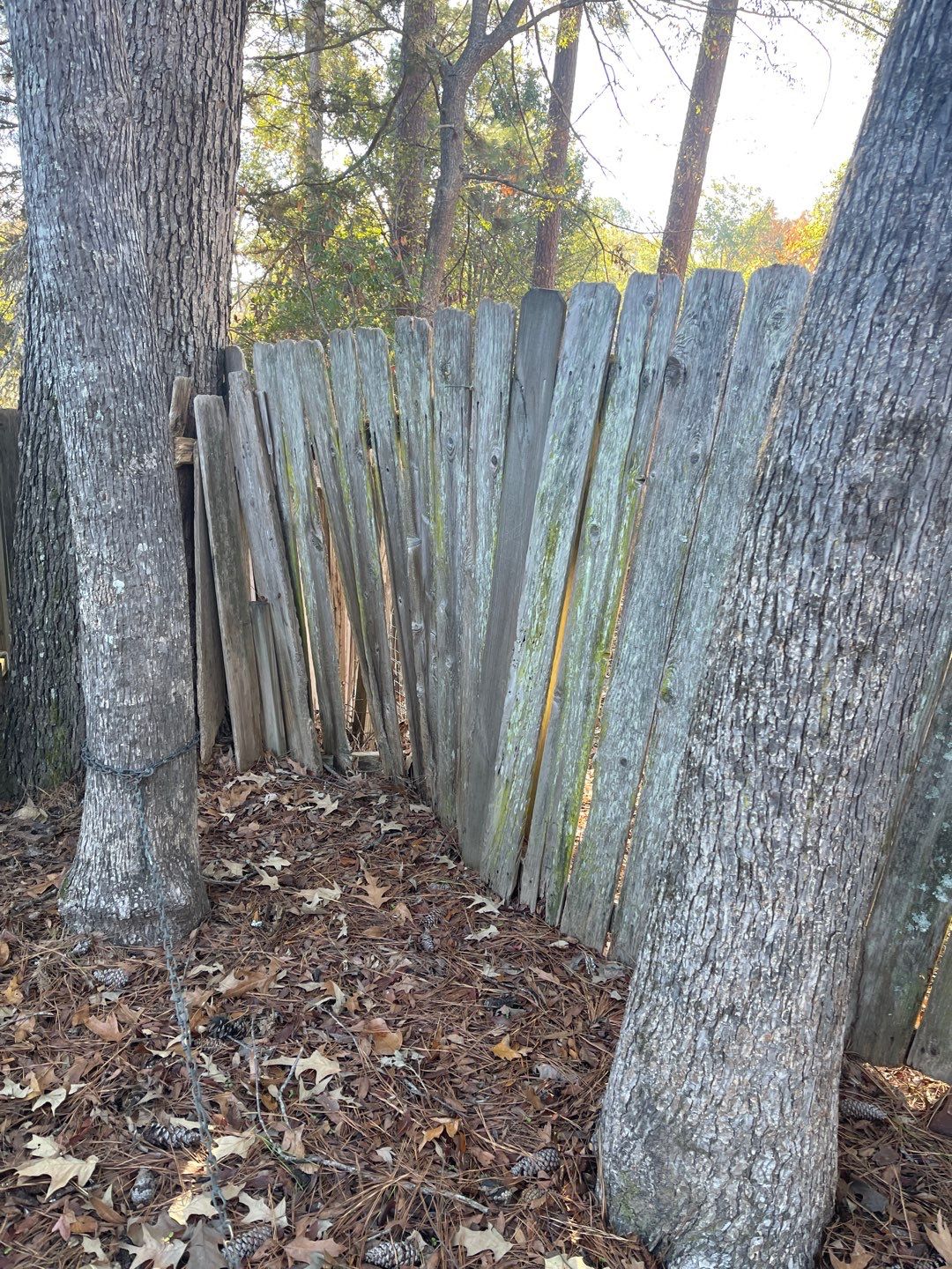 6ft Cedar Good Neighbor Fence 6x6 by Roberson Construction LLC