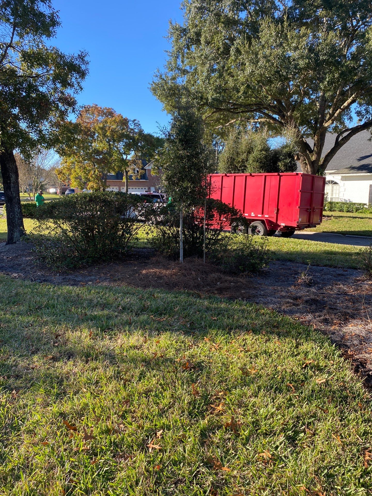 Deerwood Community | Oak Tree Replacement Project by ProGreen Services