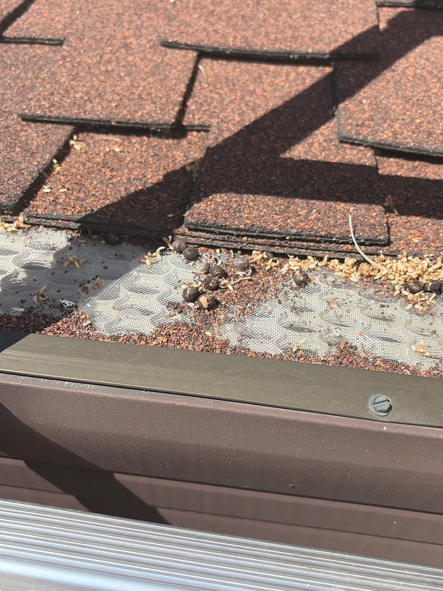 Roof Rejuvenation using Roof Maxx Treatment by Roof Maxx of Folsom