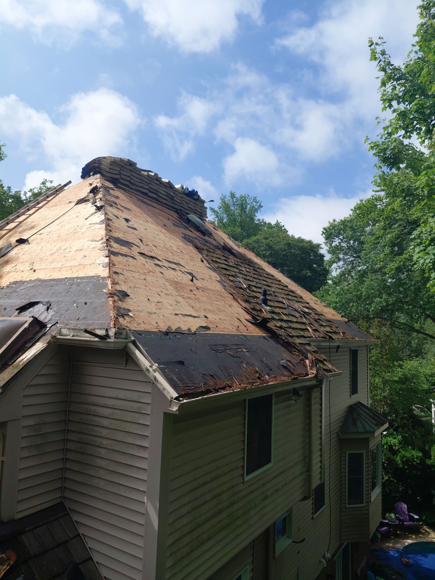 Springfield: Roof Replacement with CertainTeed Landmark Pro in Max Def Evergreen by RM Banning, Inc.