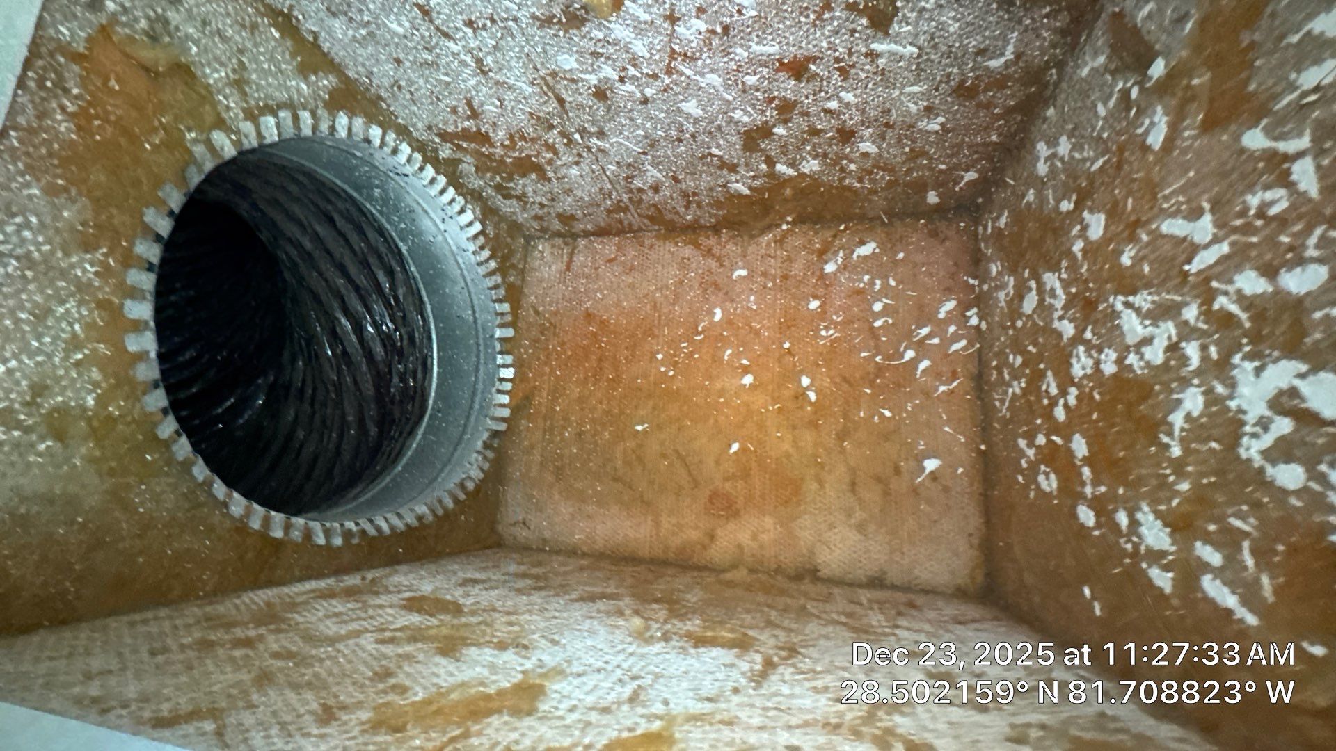 Air Duct Dryer Vent Cleaning Encapsulation Dryer Vent Repair in Clermont by Hygienic Air, Inc