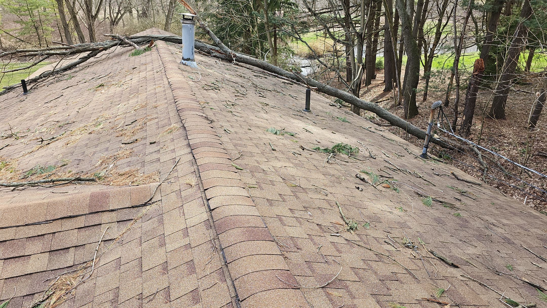 ATLAS PINNACLE COLOR: MORNING HARVEST by Eagle Eye Roofing