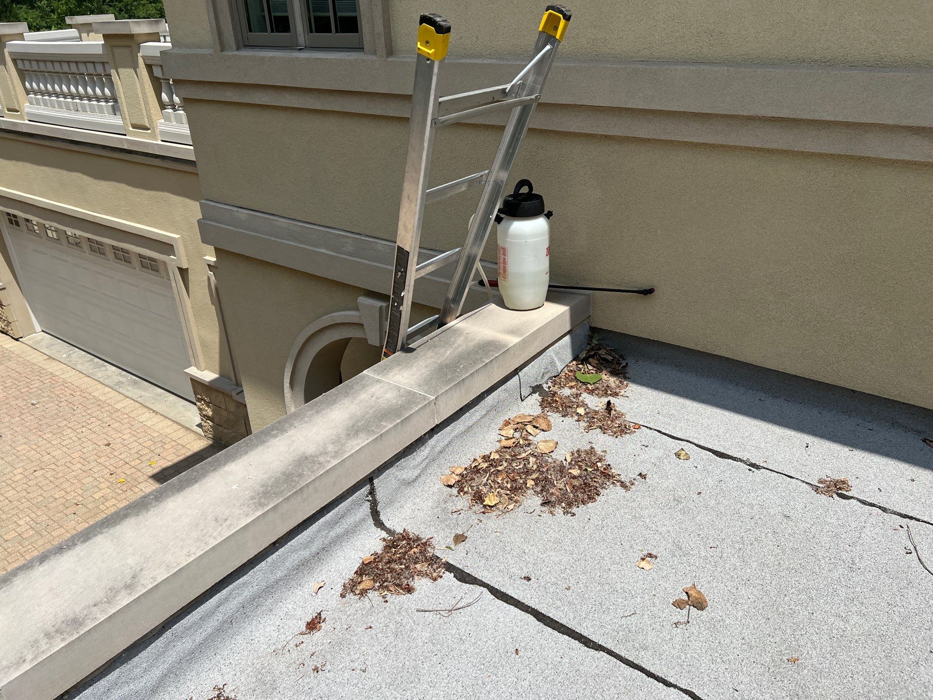 concrete cleaning using Algaecide, soft wash soap by Northern Power Washing LLC.