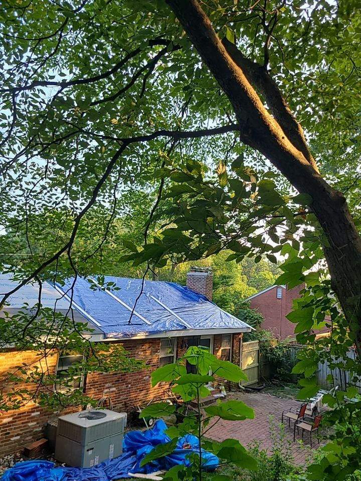 Springfield Tree Damage Restoration: CertainTeed Landmark Designer Shingles in Charcoal Black by RM Banning, Inc.