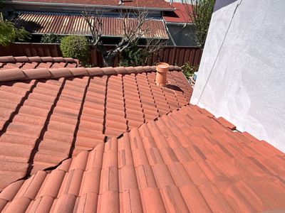 Roof Cleaning-Insurance Renewal