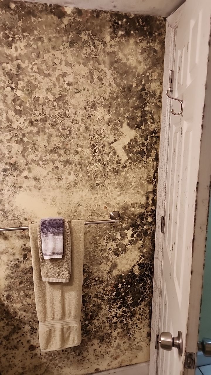 Damage caused from leaking water hea  er by Building performance Solutions LLC