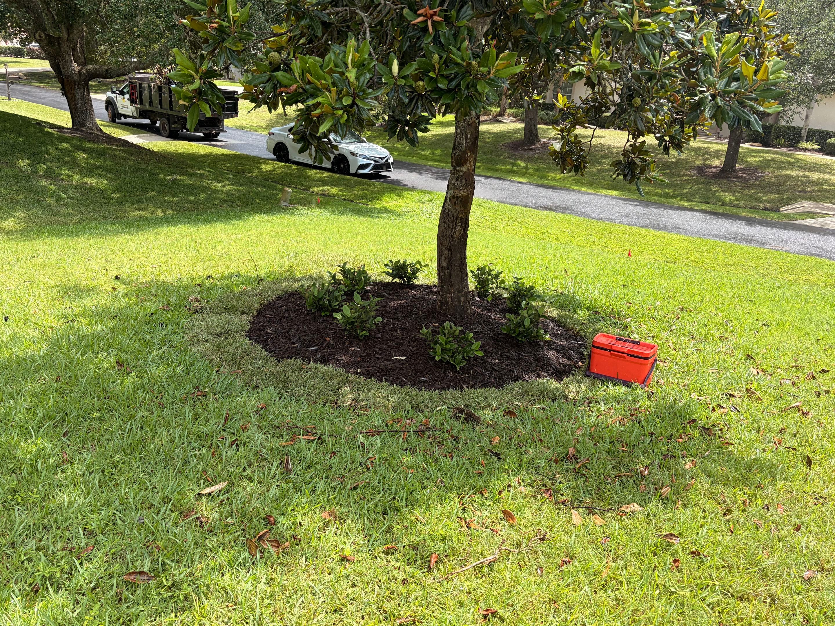 🌿✨ From Problem Areas to Paradise in Palm City! 🏡💧🌴 by Alpha Zeta Enterprises Inc