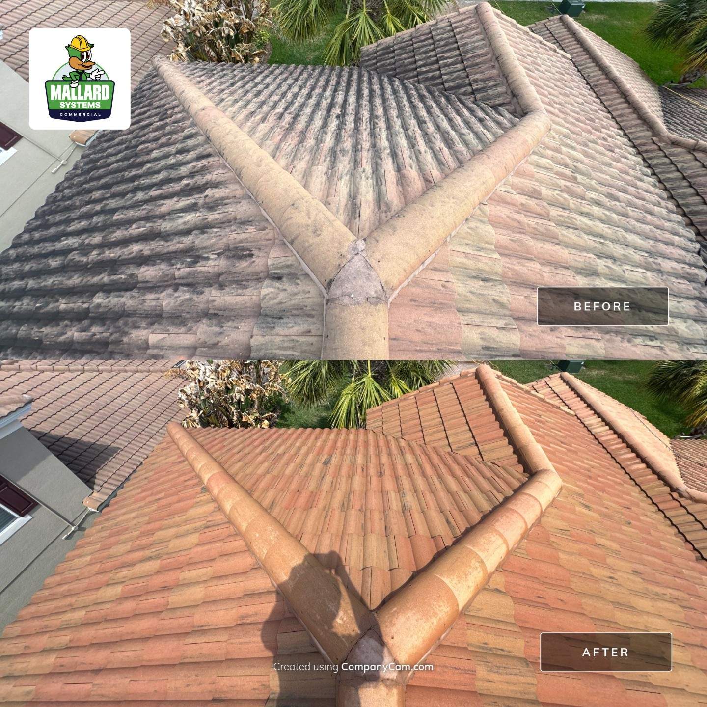 Barrel Tile Roof & Paver Driveway Cleaning by Mallard Systems