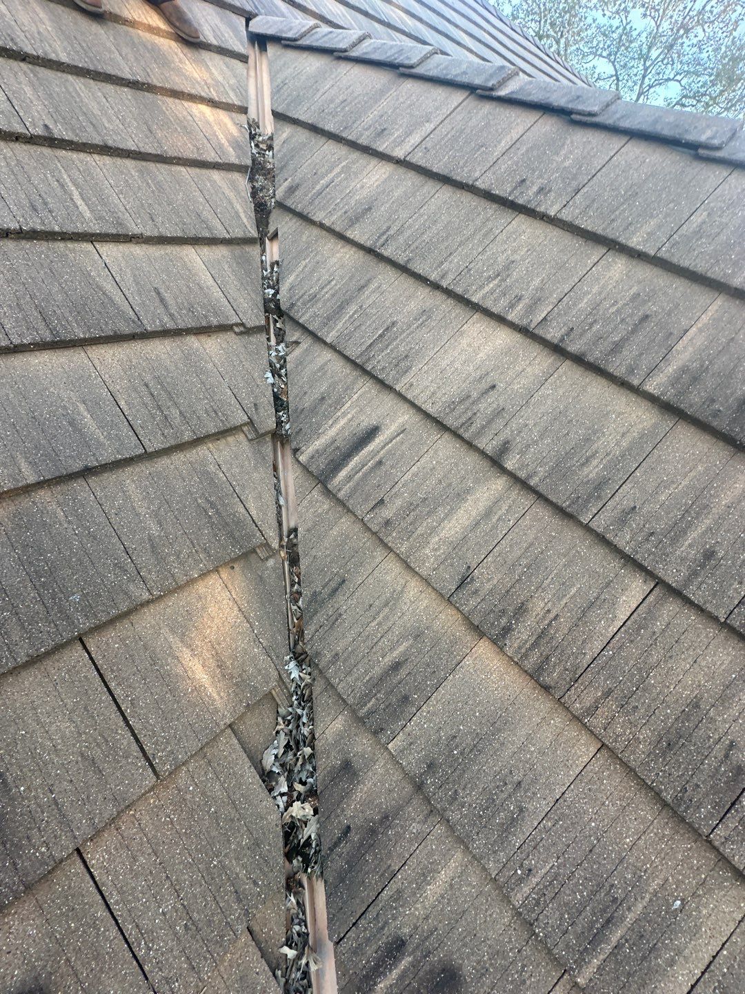 Roof Repair Richmond by Roof Repair Services LLC