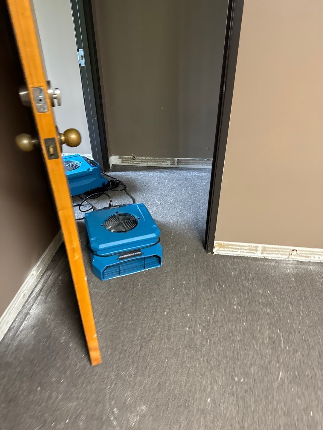 Project in Warren by EzDry Water Mitigation & Property Restoration