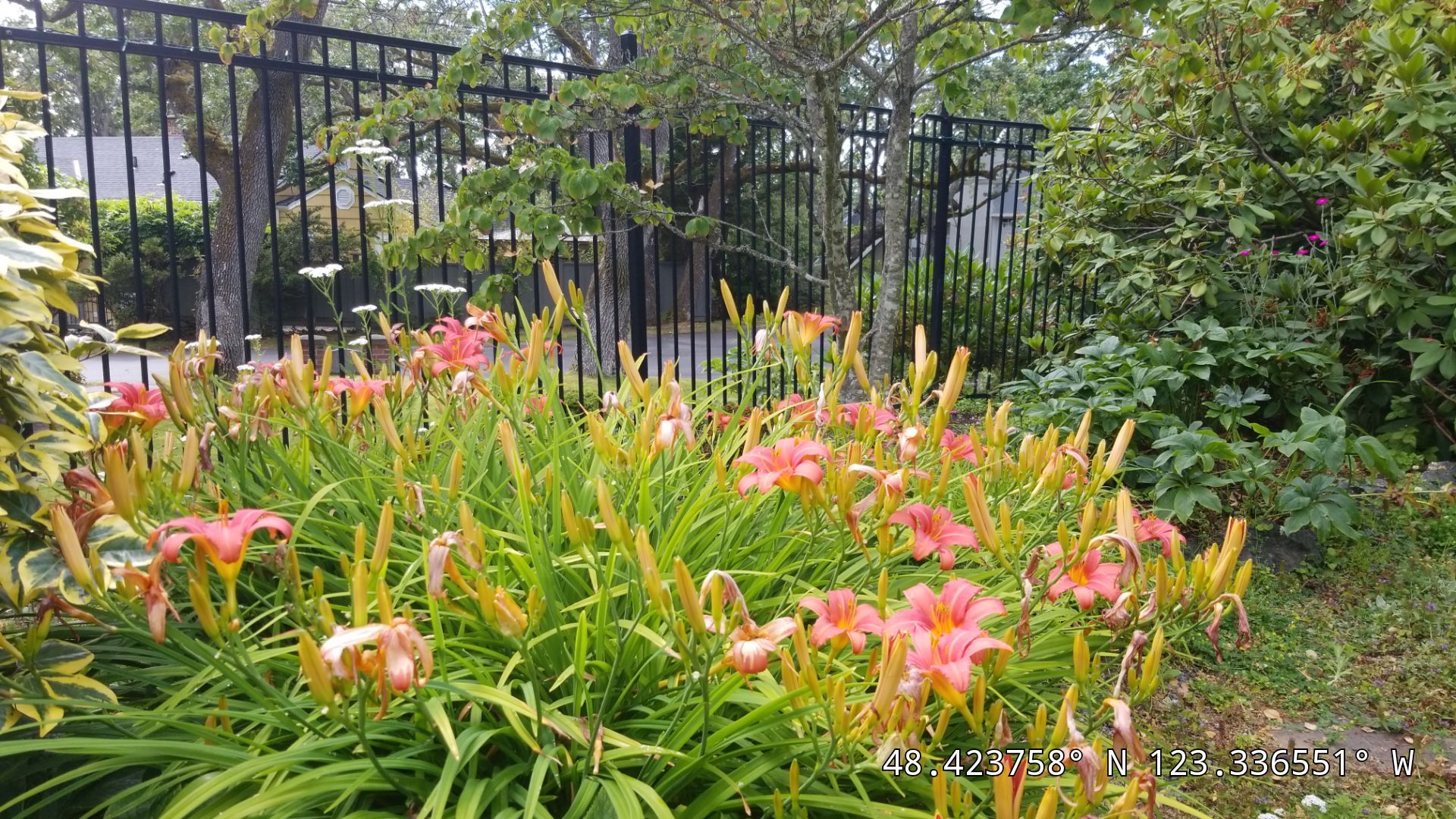 Residence in Rockland by Habanero Garden and Exterior Care