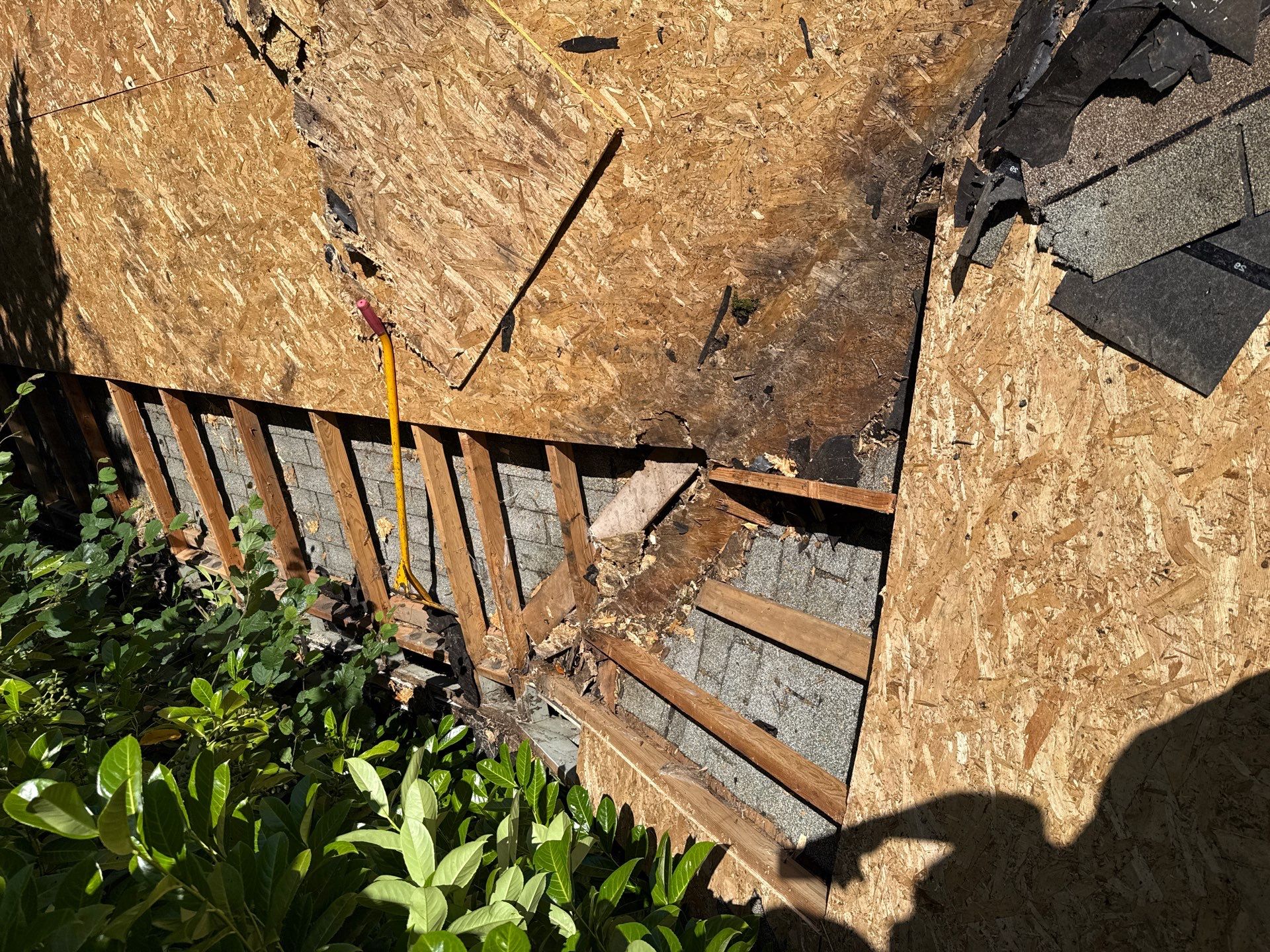 Seatac WA, Roof and Fence Replacement  by Proline Roofing & Restoration LLC