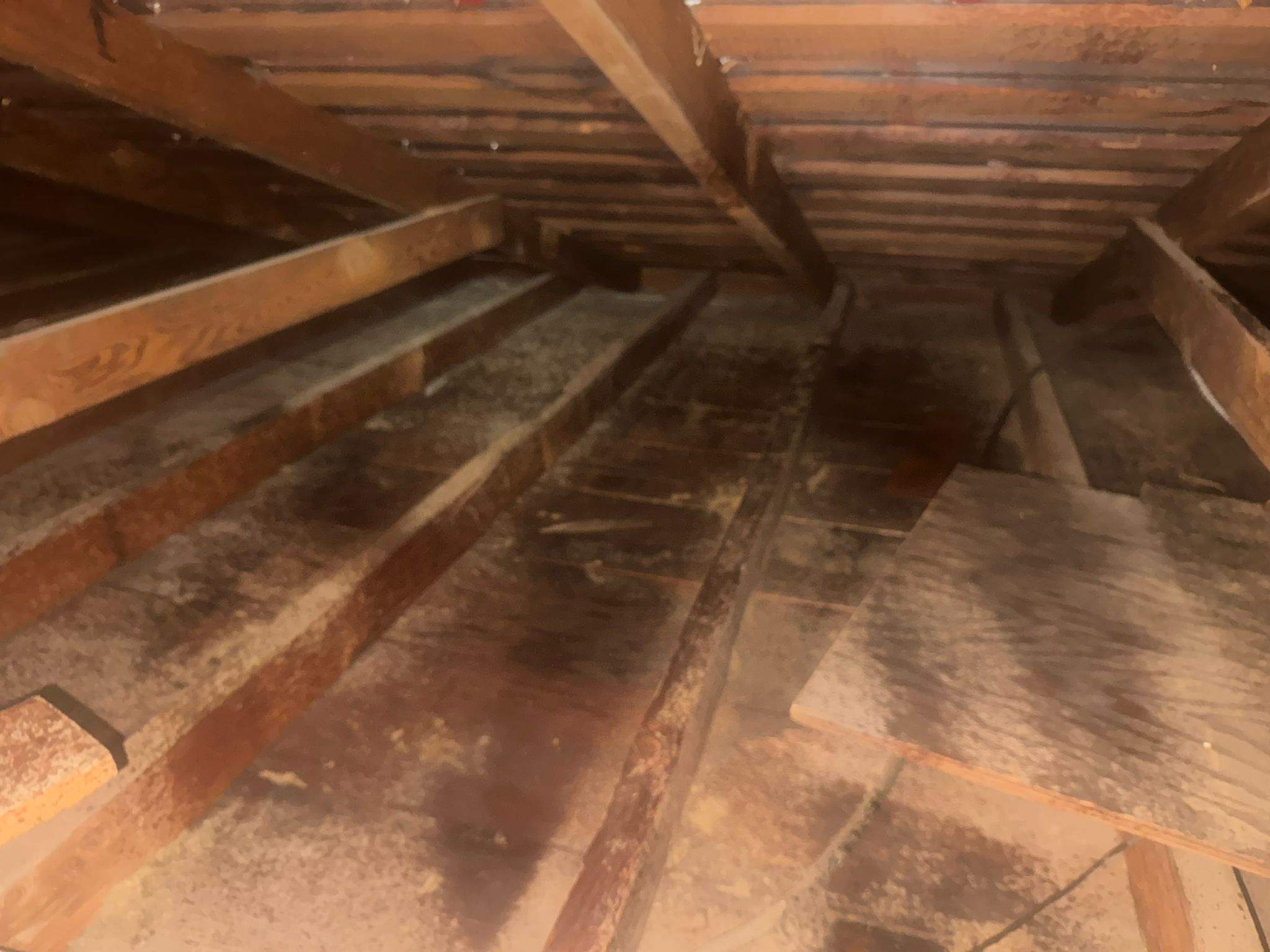 Project in Hastings Ranch Dr by Advanced Attic Solutions