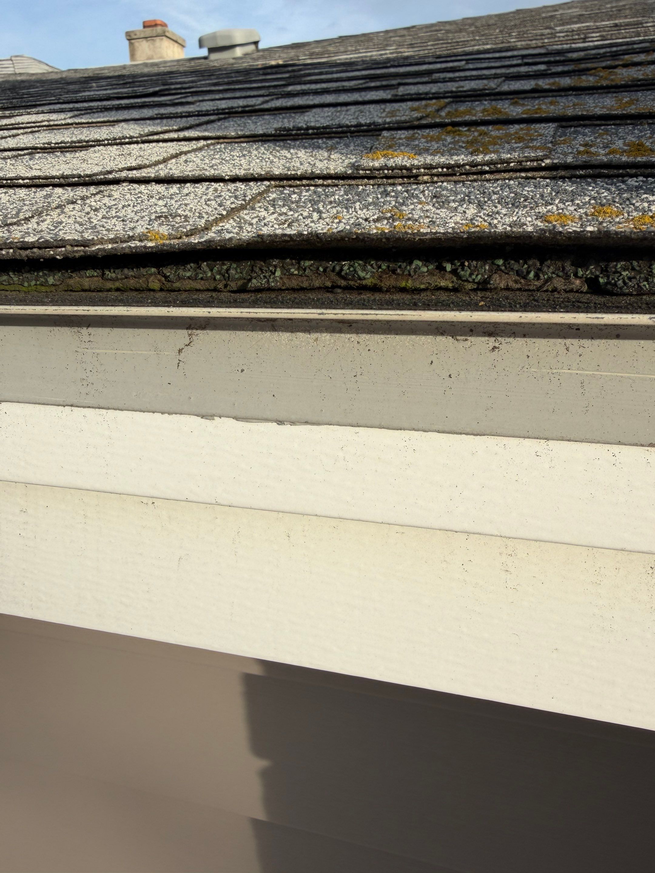 Roof, Siding, Door by BN Covered Exteriors