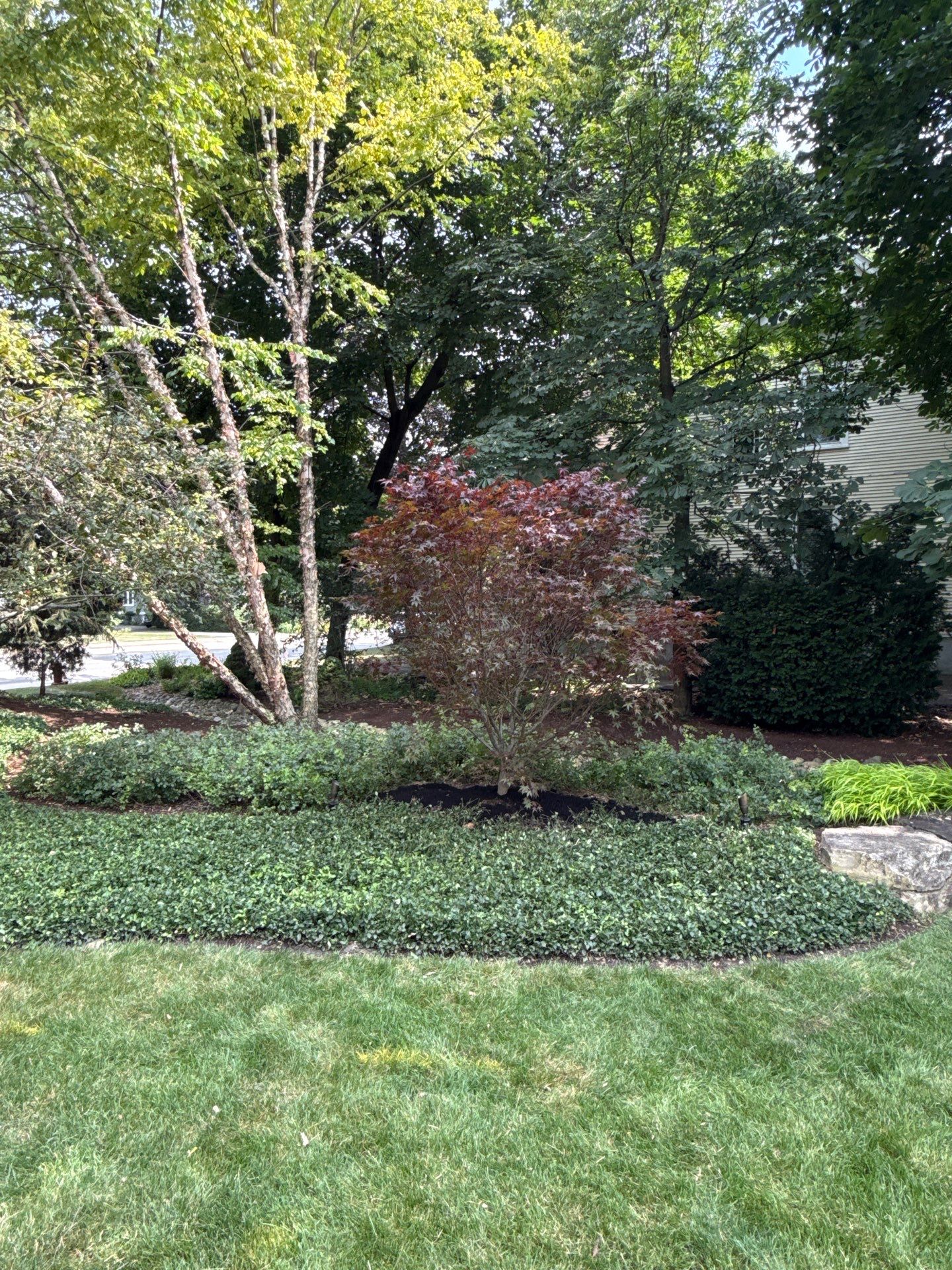 Scott M. - Arlington Heights, IL by A&N