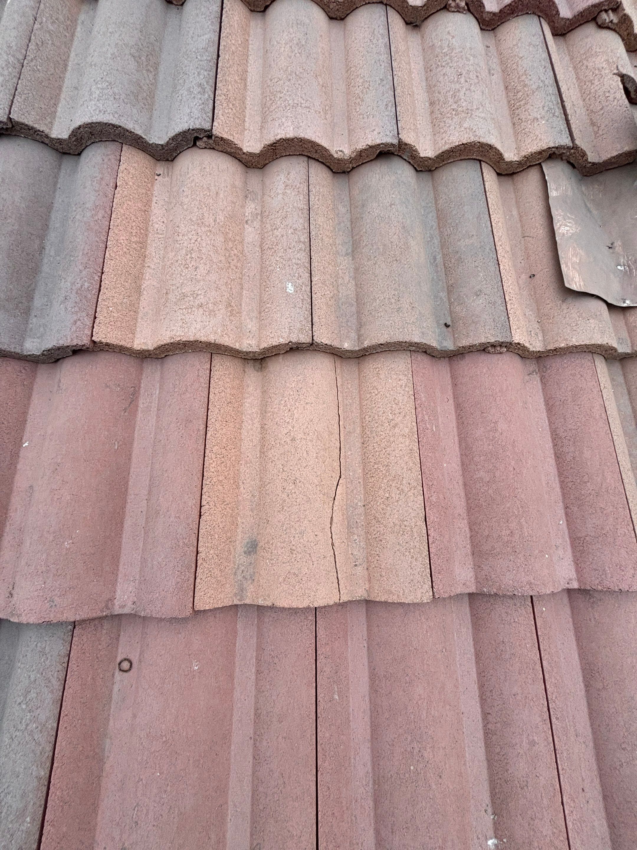Solar Panel Bird Proofing in Fontana Ca by Palm Coast Solar Cleaning
