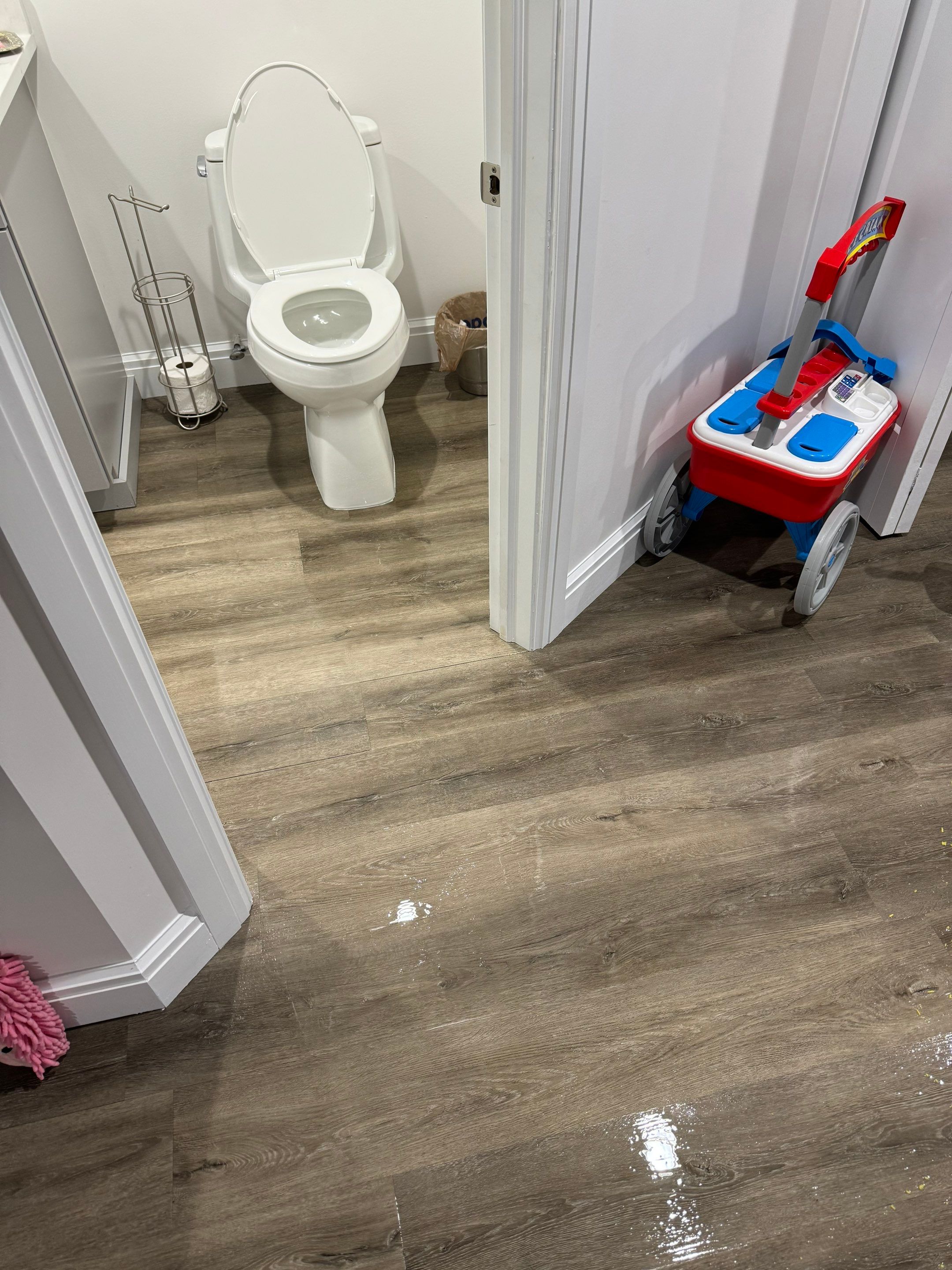 Project in West Bloomfield Township by EzDry Water Mitigation & Property Restoration