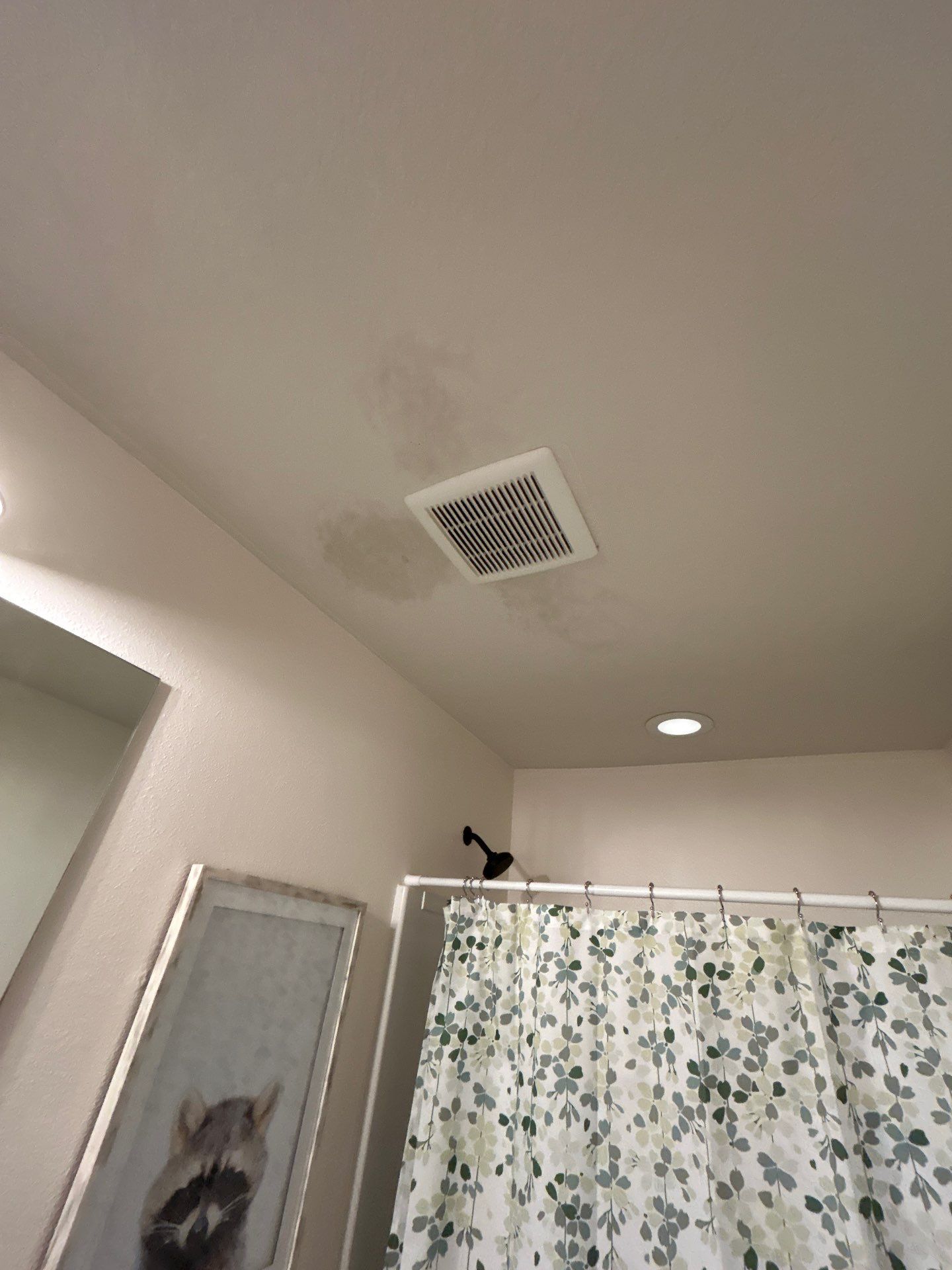 Palmetto Mold Removal & Repair by Ampm Restoration Services 