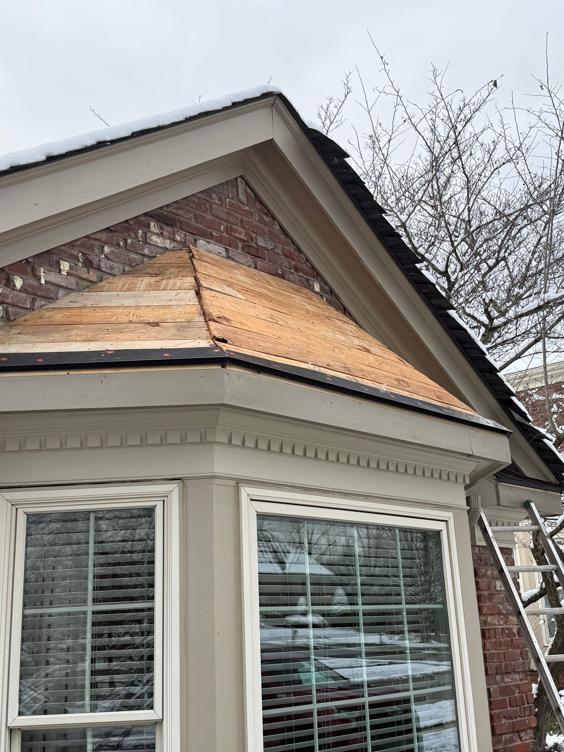 Project in Louisville, KY by GreenForce Restoration