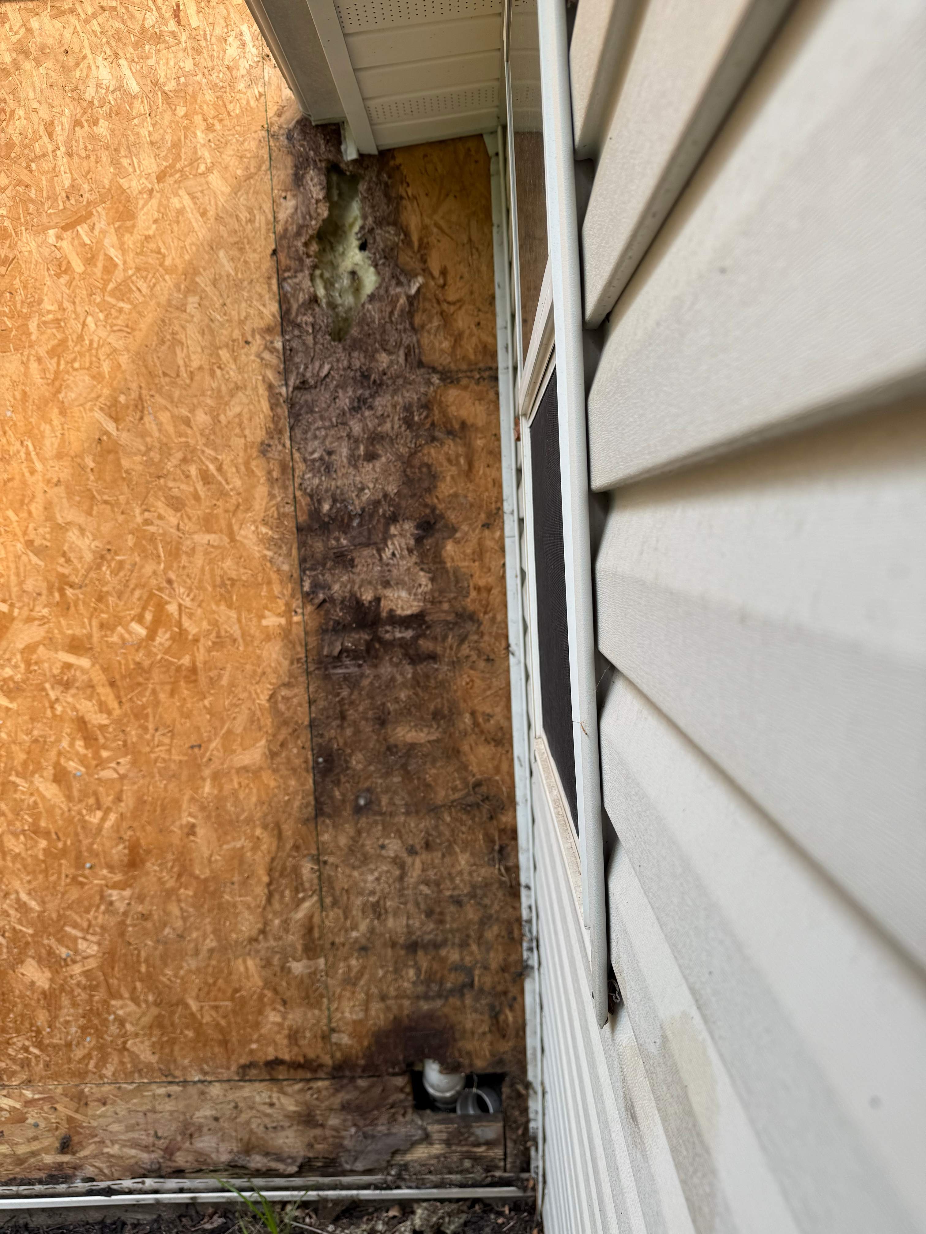 Siding Repair by Stofan Construction LLC