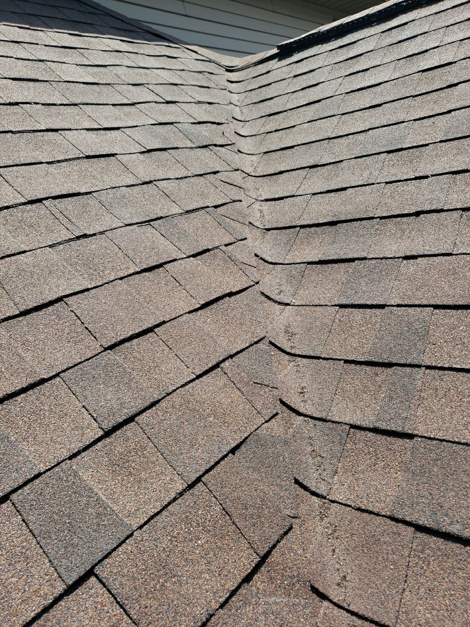 Brand: Atlas Pinnacle Color: Pristine Scotchgard Hickory Drip: Musket Brown by Eagle Eye Roofing