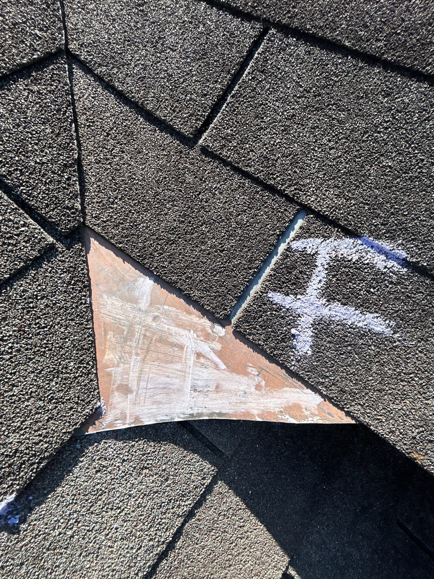 Miss Bridgette by REPS OF TEXAS