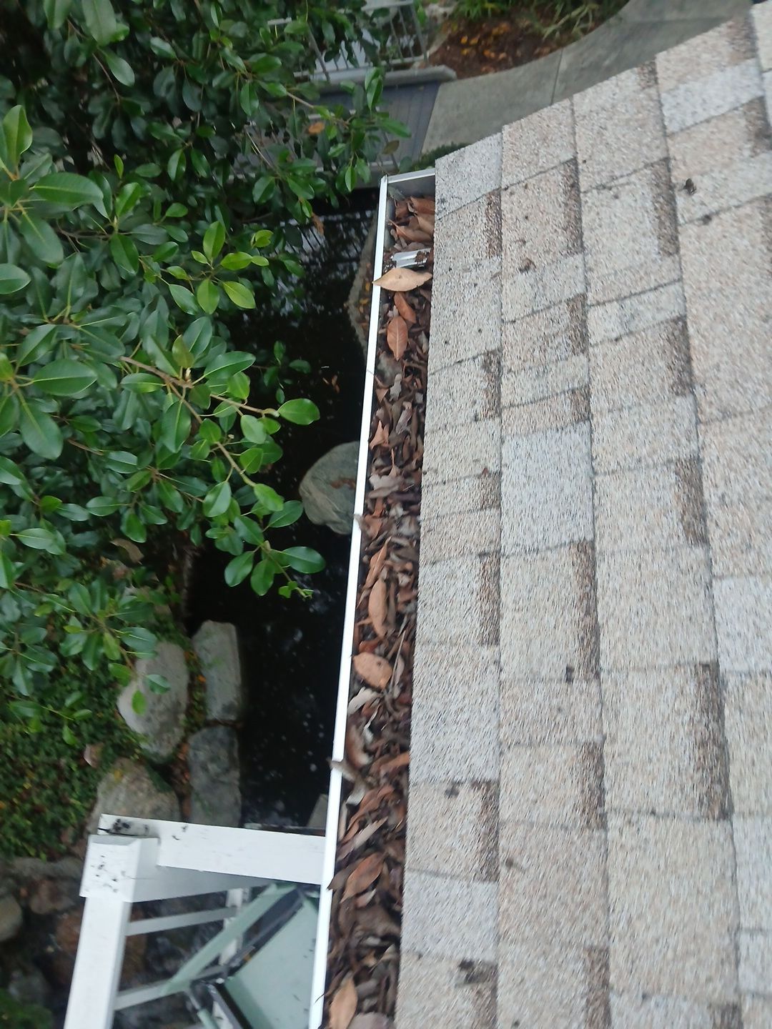 Commercial gutter cleaning Long Beach, CA before photo with filled gutters