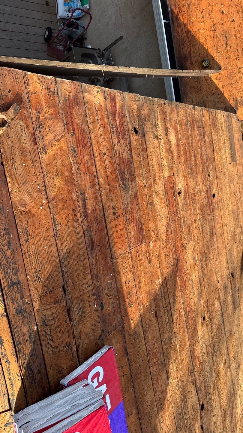 Willa Holmstock by NuLead Construction Inc