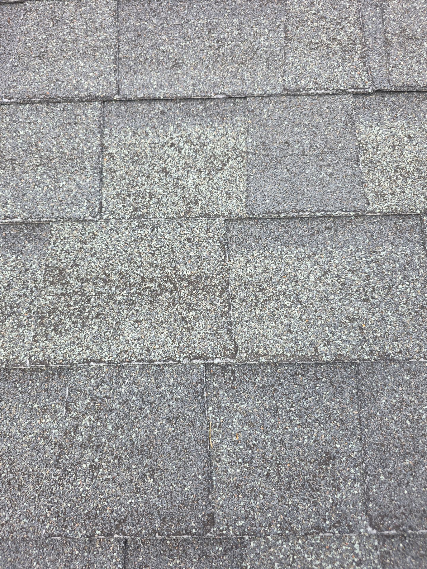 Roof Rejuvenation using Roof Maxx Treatment by Roof Maxx of Folsom