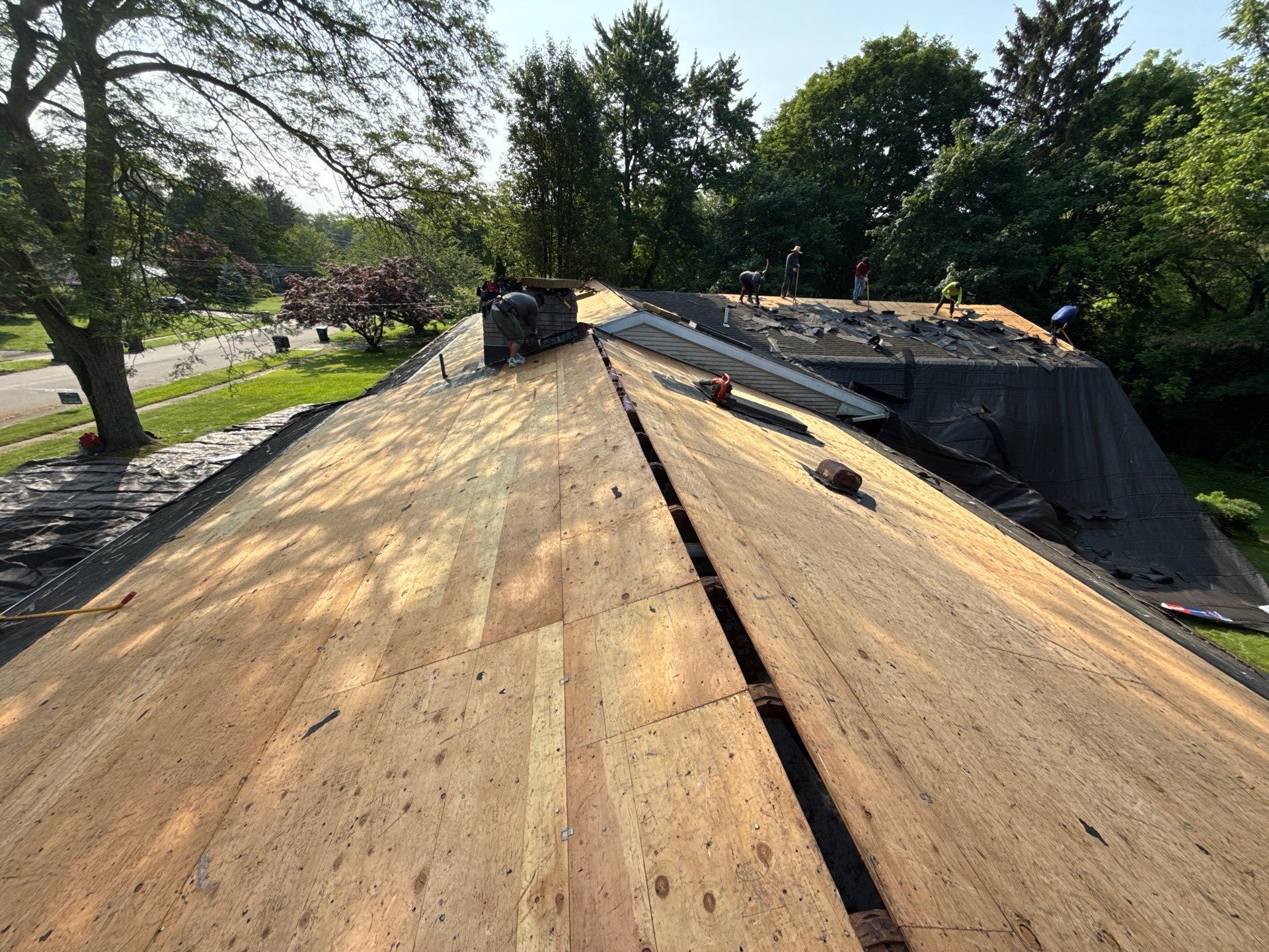 Cheshire by All site builders LLC