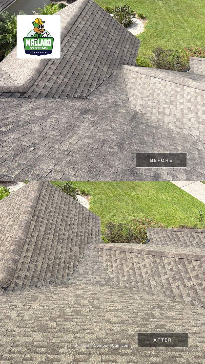 Roof Cleaning and Exterior Soft Wash in MetroWest by Mallard Systems