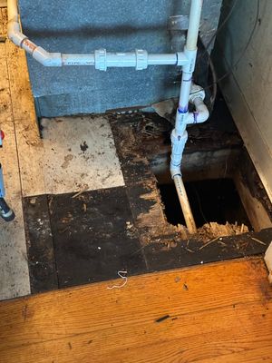Project by BlueRed Restoration
