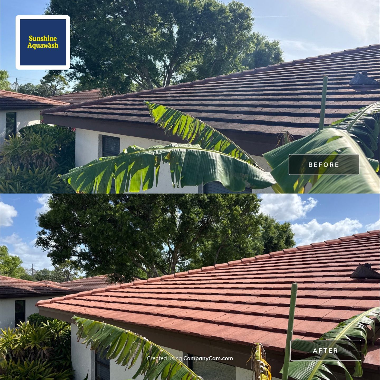 Tile Roof Cleaning in Vivienda at Bradenton, FL | No Roof Walking Method by Sunshine AquaWash