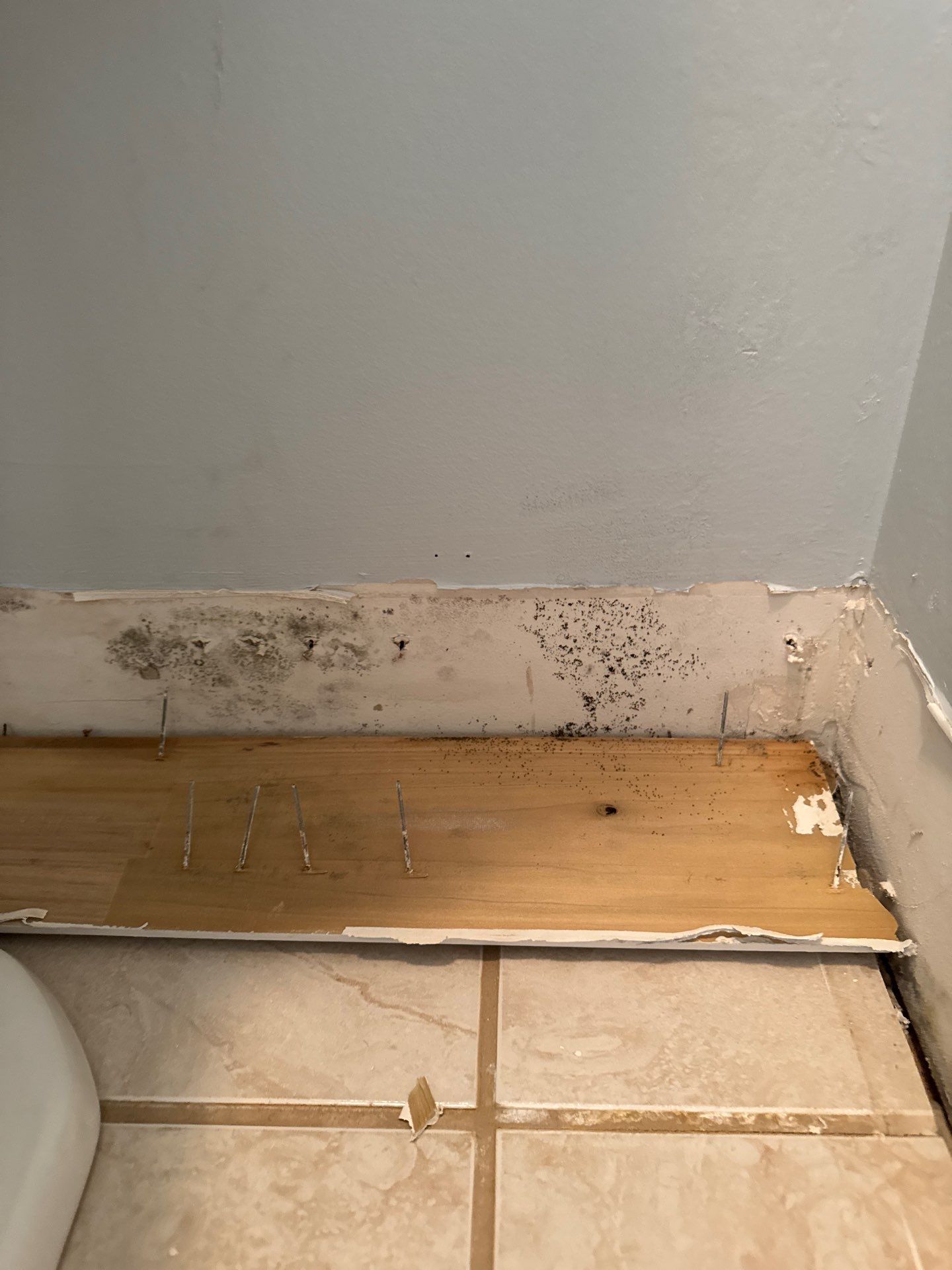 Shower Pan Leak by Chicagoland Water Medics