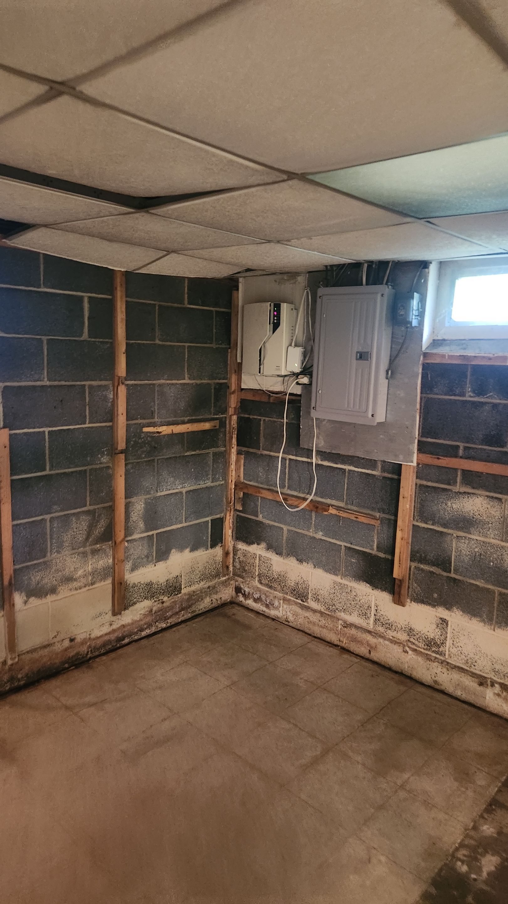 Interior French Drain & Mold Remediation Project in Manville, New Jersey by Pure Service Pro, LLC 