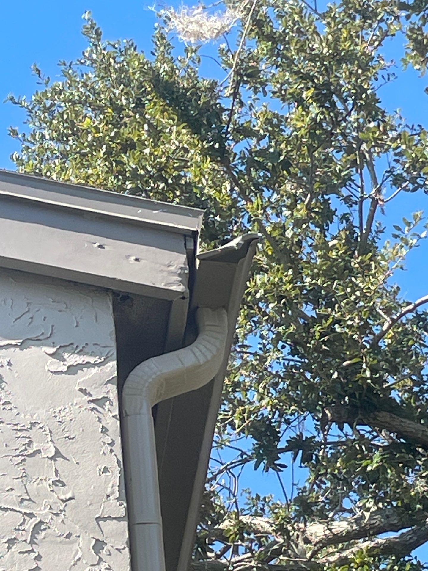 White Gutters Repair and Installation in Sarasota FL by Gutter Professors