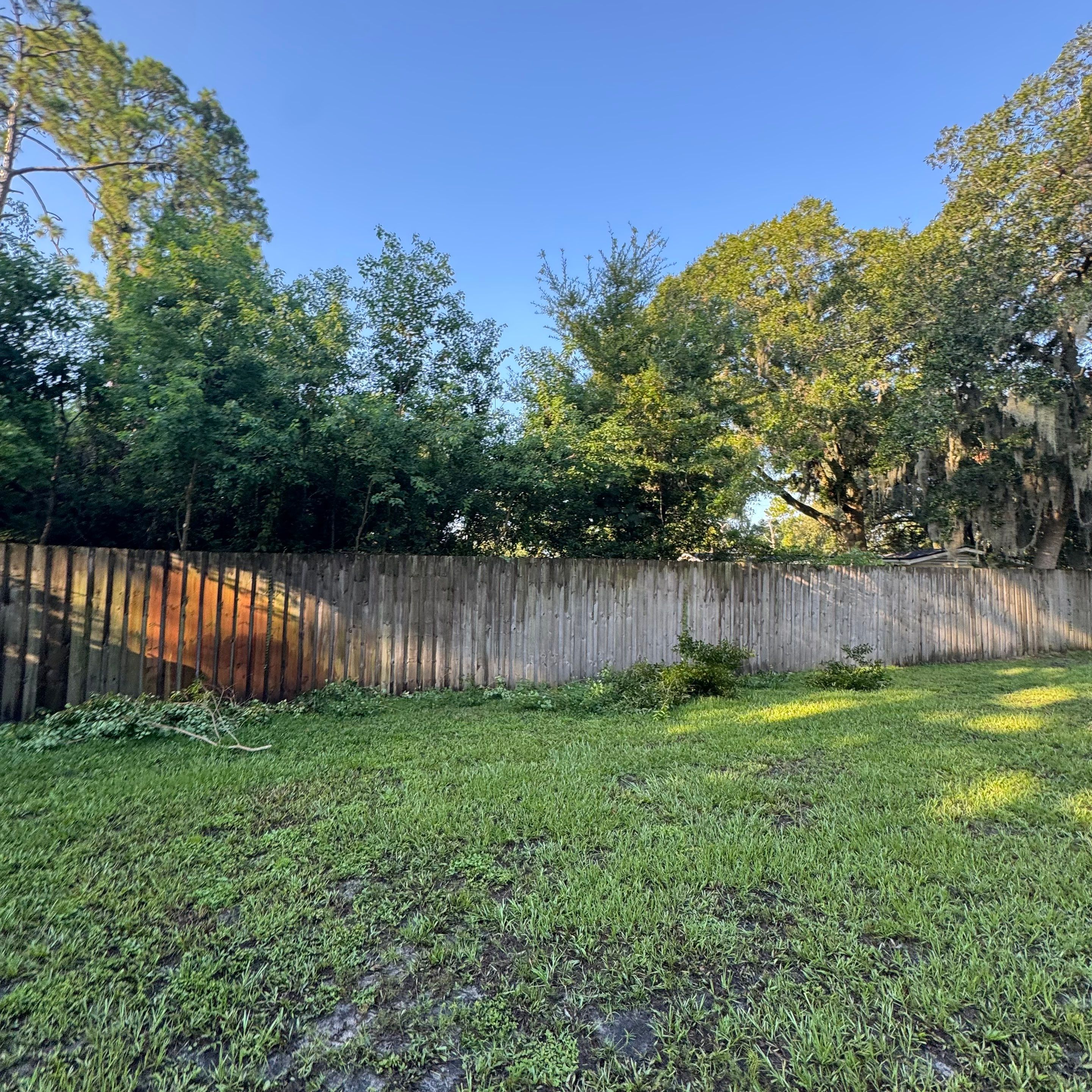 Residential | Tree Trimming  by ProGreen Services