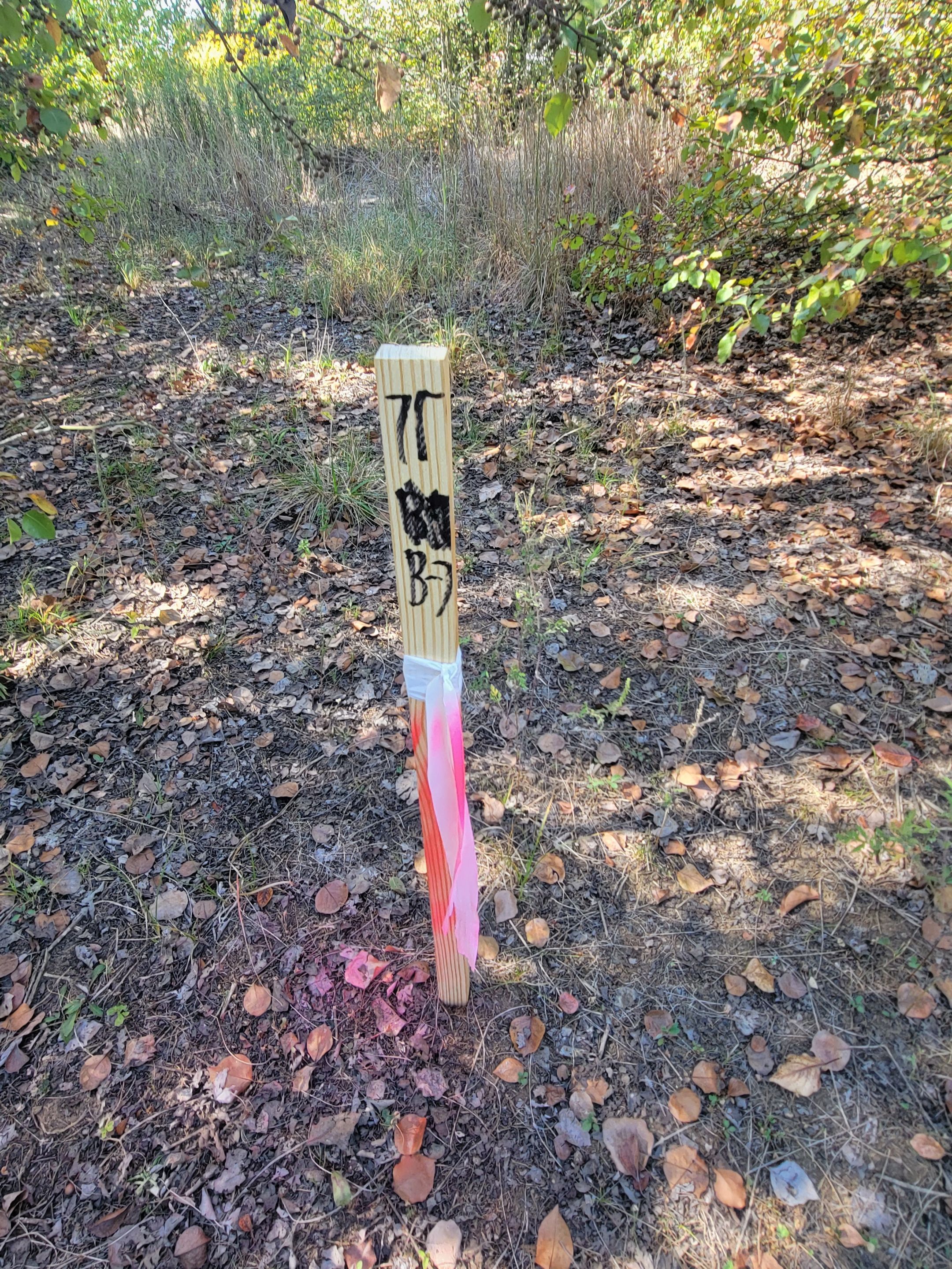 Soil Boring Locations by Alsip Locating Service, LLC