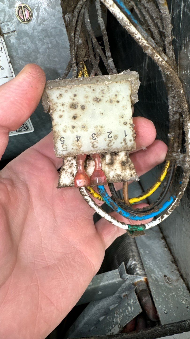 Air Duct Cleaning in Orlando by Hygienic Air, Inc