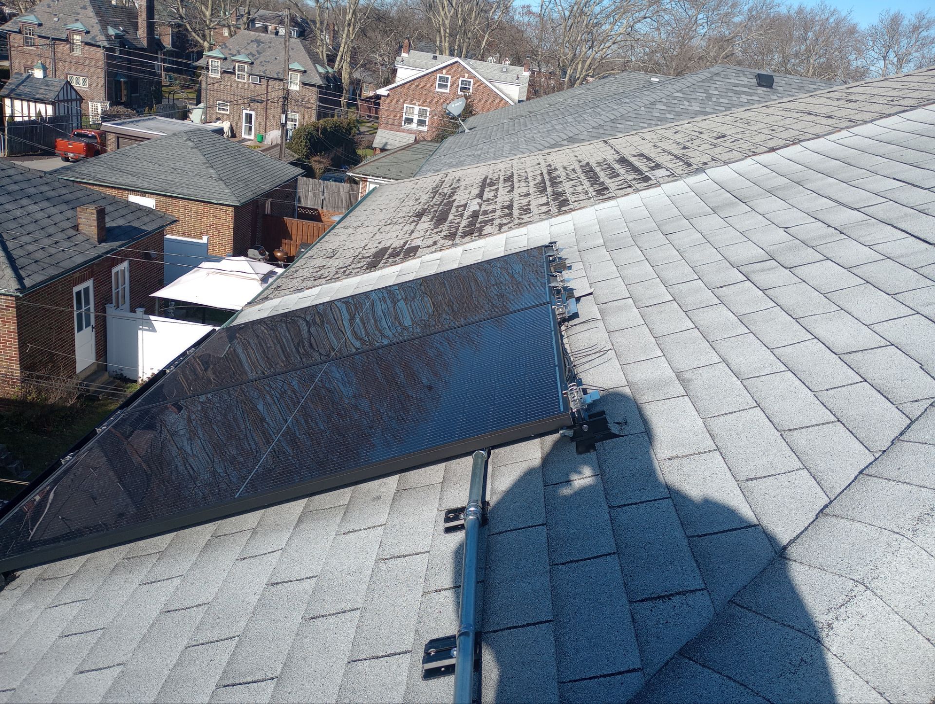 Silver Birch Shingles by Reimagine Roofing