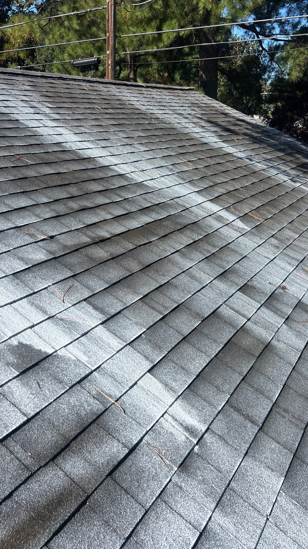 Project in Richmond by Roof Maxx of Midlothian