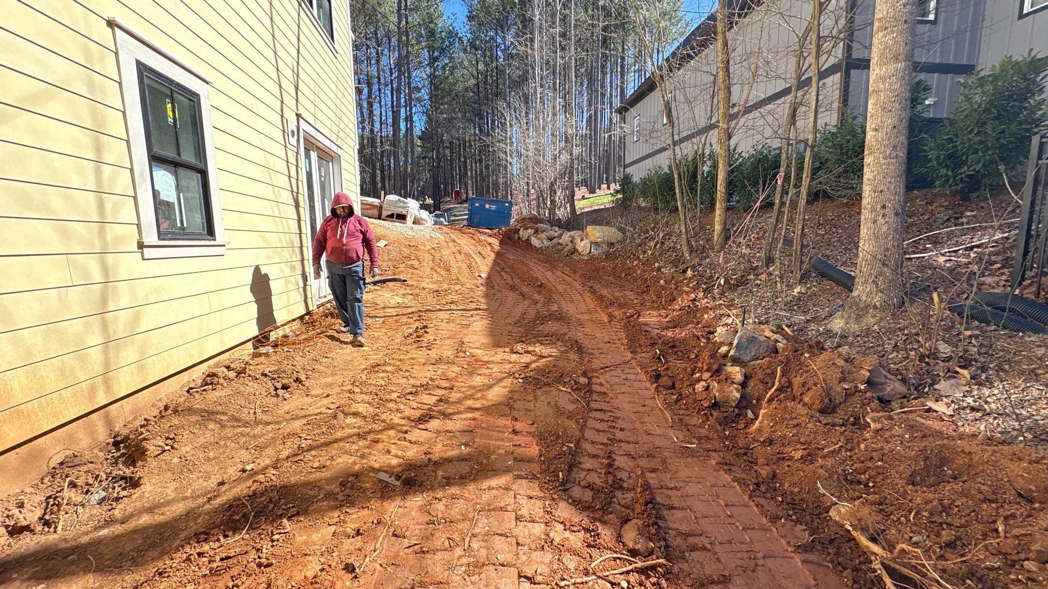 New Construction in Denver by Growing Edge Landscape & Design, Inc.