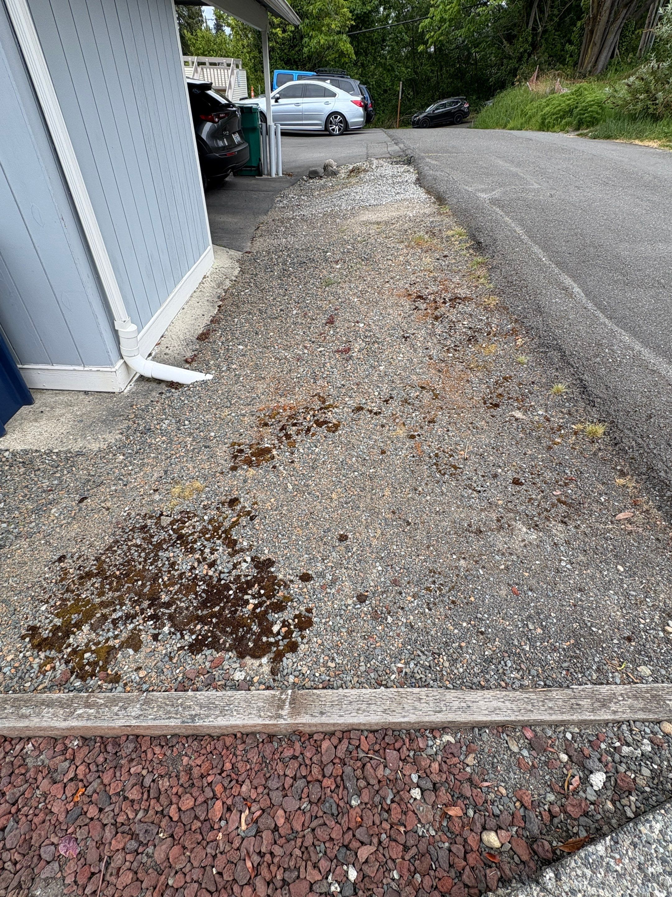 Asphalt Patch Repairs | Mukilteo  by Jireh Asphalt & Concrete Inc 
