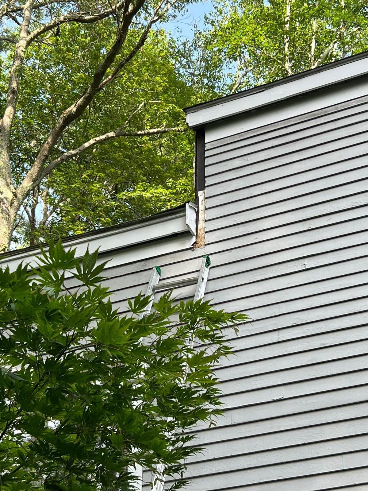 Siding | Concord by Mighty Dog Roofing of Greater Middlesex County