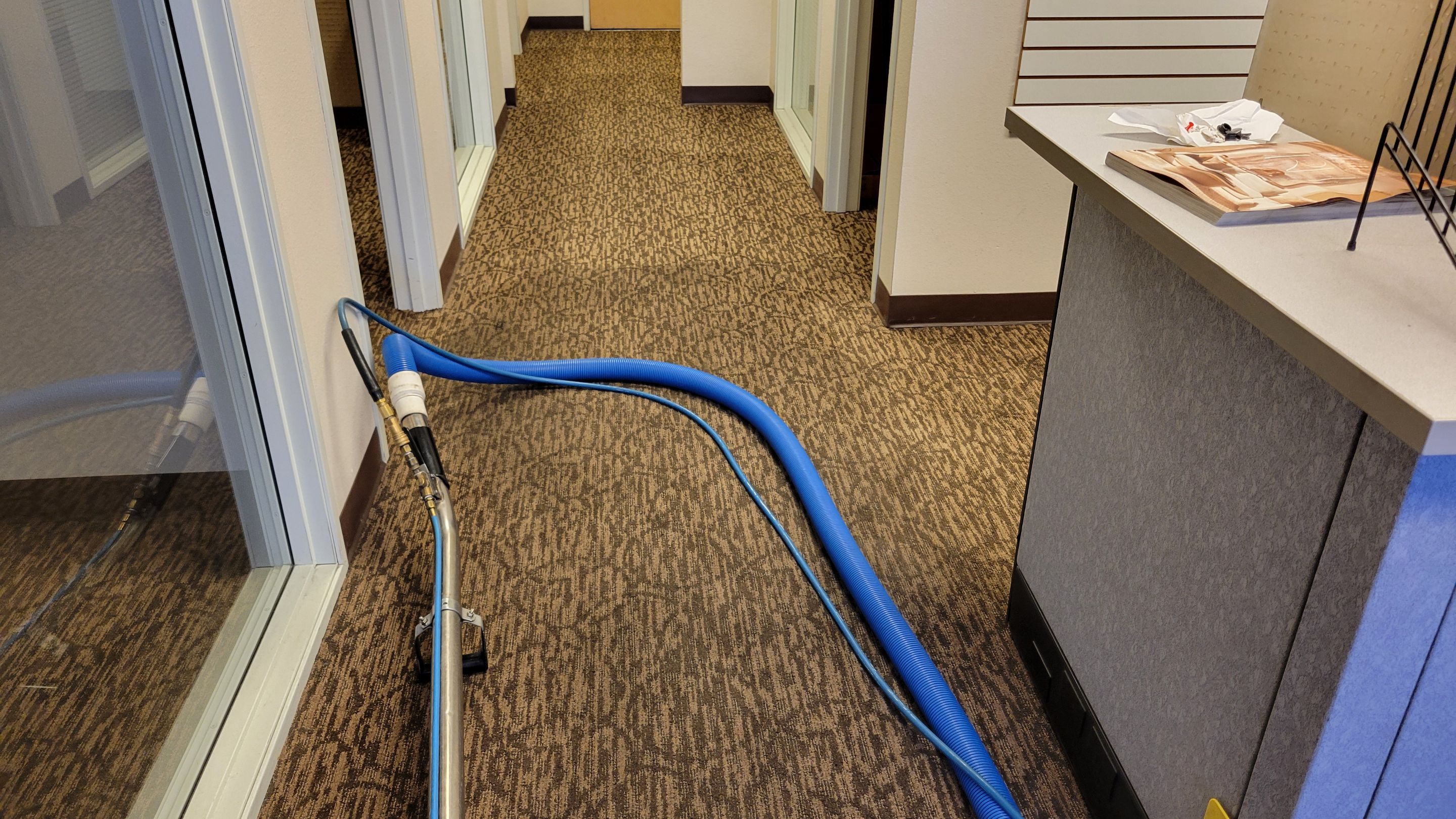 Buckled Commercial Glue Down Carpet by Ardent Carpet Restore LLC